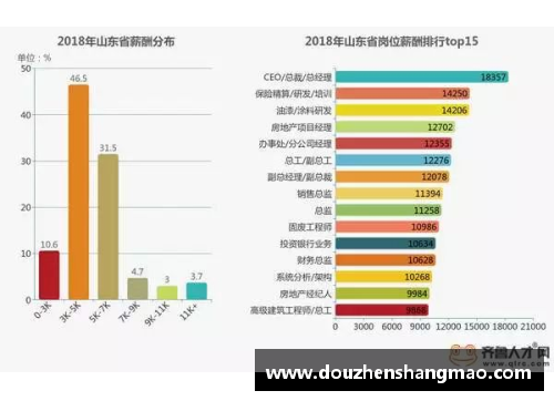 FM 球员年龄分布及其对比分析